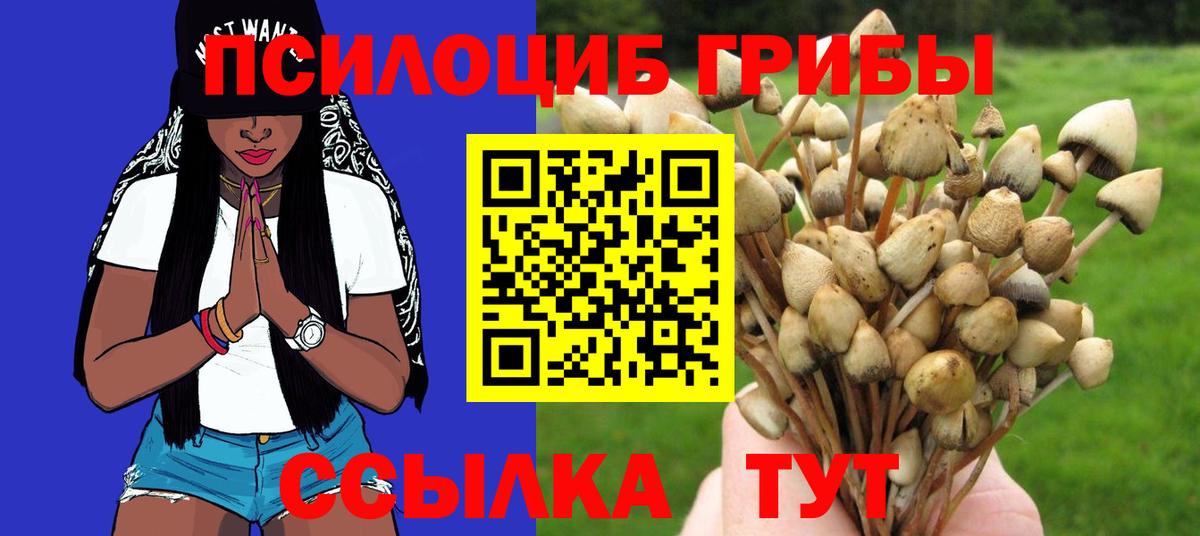 Кемерово  Галлюциногенные грибы Magic Shrooms  Вход с VPN  Псилоцибиновые грибы Cubensis 